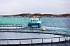Norske oppdrettsanlegg opptar større havområder enn før