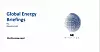 Global Energy Briefings – En rapport av Investornytt