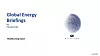 Global Energy Briefings – En rapport av Investornytt