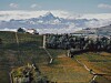 Terrasserte vinåkre i forgrunnen med små bygninger og snødekte fjell i bakgrunnen. Piemonte, Italia.