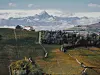 Terrasserte vinåkre i forgrunnen med små bygninger og snødekte fjell i bakgrunnen. Piemonte, Italia.