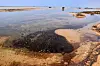 Mørke oljerester flyter i grunt kystvann ved en sandstrand på Qeshm-øya.